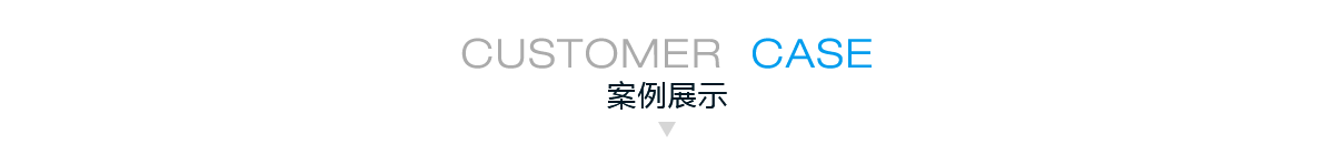 案例展示